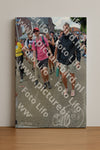 Evenement foto: Nijmeegse Vierdaagse 934