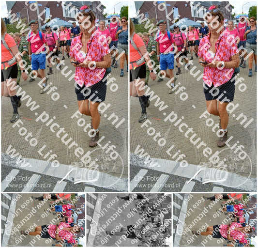 Evenement foto: Nijmeegse Vierdaagse 934