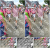 Evenement foto: Nijmeegse Vierdaagse 934