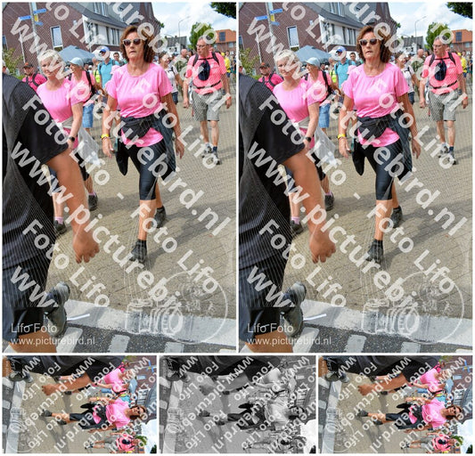Evenement foto: Nijmeegse Vierdaagse 934