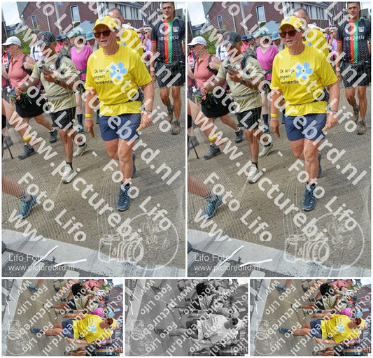 Evenement foto: Nijmeegse Vierdaagse 934