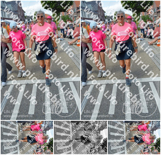 Evenement foto: Nijmeegse Vierdaagse 934