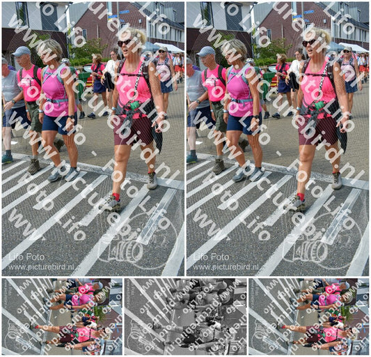 Evenement foto: Nijmeegse Vierdaagse 934