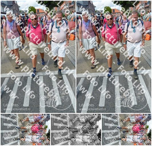 Evenement foto: Nijmeegse Vierdaagse 934