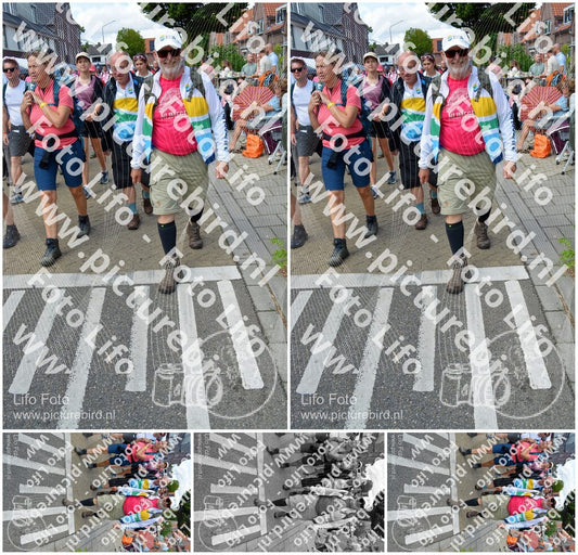 Evenement foto: Nijmeegse Vierdaagse 934