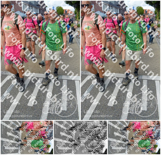 Evenement foto: Nijmeegse Vierdaagse 934