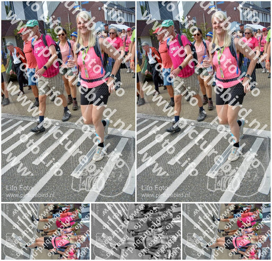 Evenement foto: Nijmeegse Vierdaagse 934