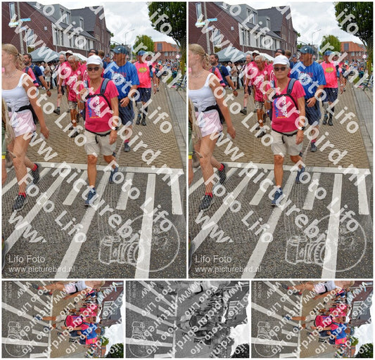 Evenement foto: Nijmeegse Vierdaagse 933