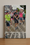 Evenement foto: Nijmeegse Vierdaagse 933