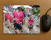 Evenement foto: Nijmeegse Vierdaagse 933