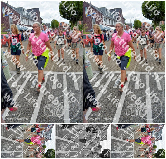 Evenement foto: Nijmeegse Vierdaagse 933