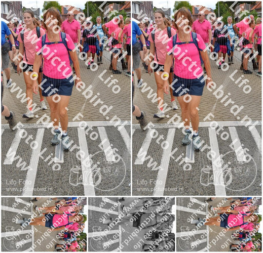 Evenement foto: Nijmeegse Vierdaagse 933