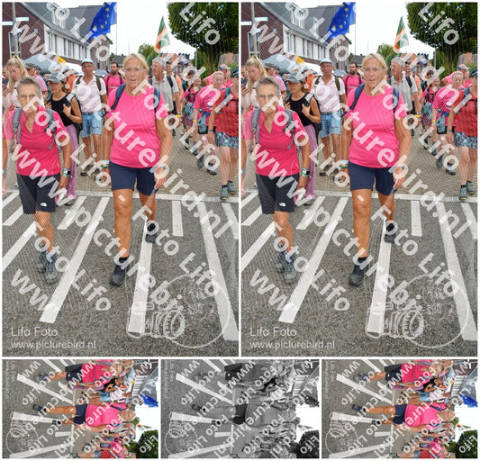 Evenement foto: Nijmeegse Vierdaagse 933