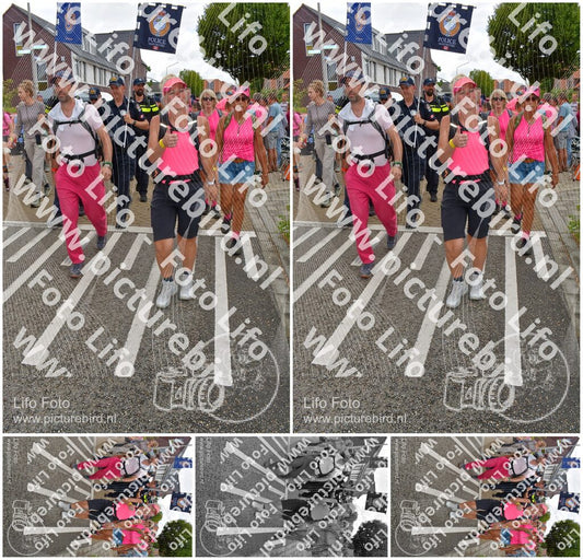Evenement foto: Nijmeegse Vierdaagse 933
