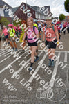 Evenement foto: Nijmeegse Vierdaagse 933