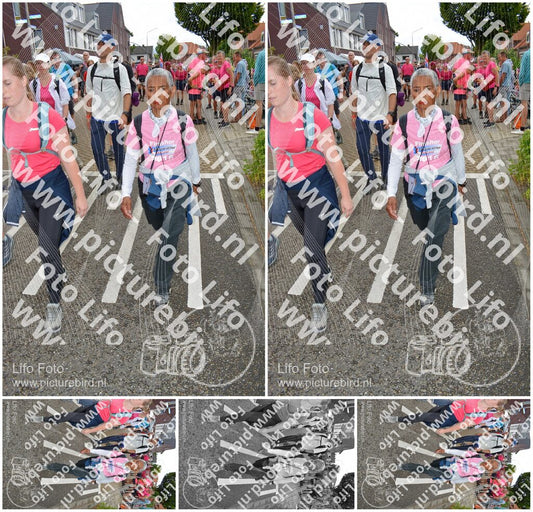 Evenement foto: Nijmeegse Vierdaagse 933