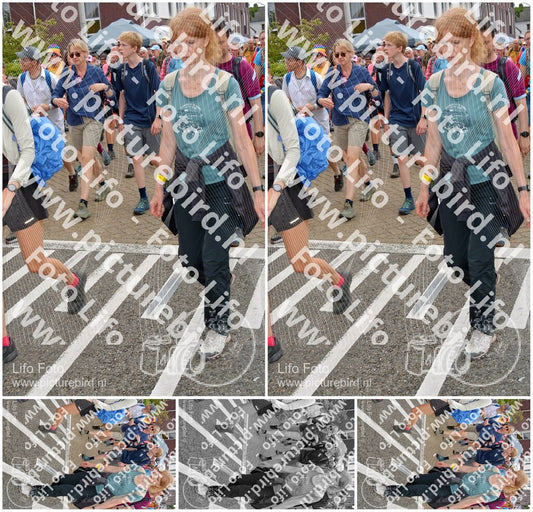 Evenement foto: Nijmeegse Vierdaagse 933