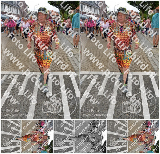 Evenement foto: Nijmeegse Vierdaagse 933