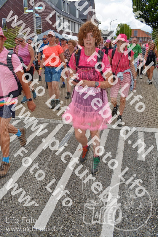 Evenement foto: Nijmeegse Vierdaagse 933