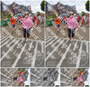 Evenement foto: Nijmeegse Vierdaagse 933