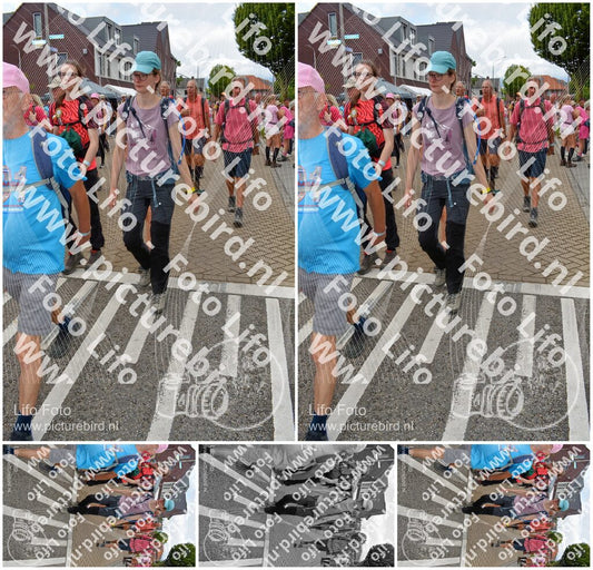 Evenement foto: Nijmeegse Vierdaagse 933