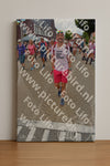 Evenement foto: Nijmeegse Vierdaagse 933