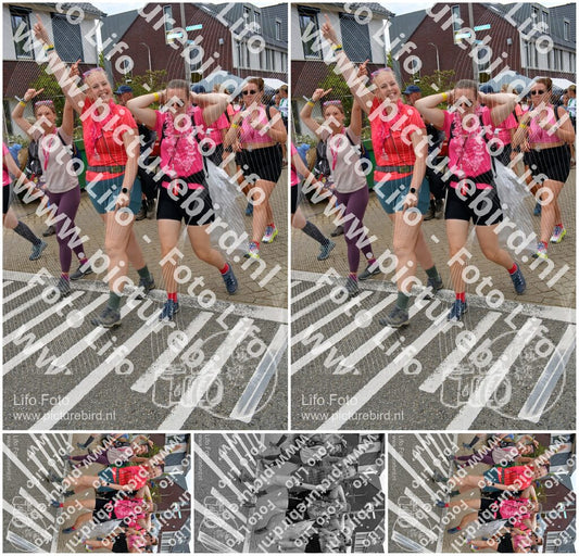 Evenement foto: Nijmeegse Vierdaagse 933