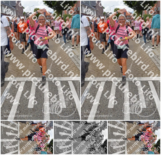 Evenement foto: Nijmeegse Vierdaagse 933