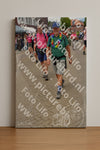 Evenement foto: Nijmeegse Vierdaagse 933