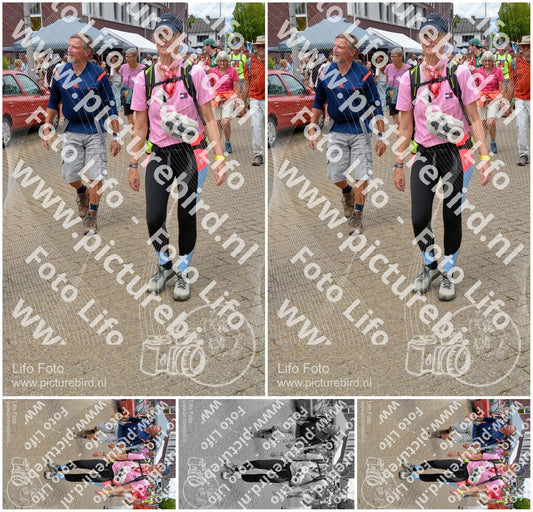 Evenement foto: Nijmeegse Vierdaagse 933