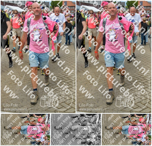 Evenement foto: Nijmeegse Vierdaagse 933