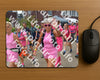 Evenement foto: Nijmeegse Vierdaagse 933