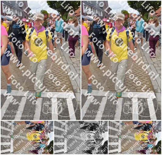 Evenement foto: Nijmeegse Vierdaagse 933