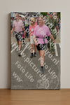 Evenement foto: Nijmeegse Vierdaagse 933