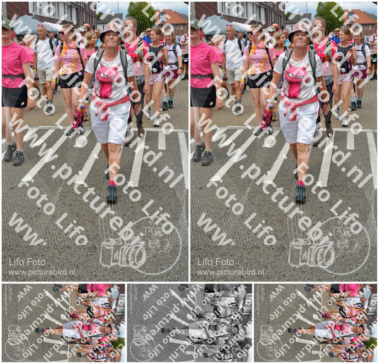 Evenement foto: Nijmeegse Vierdaagse 933