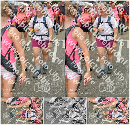Evenement foto: Nijmeegse Vierdaagse 933