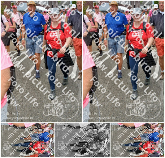 Evenement foto: Nijmeegse Vierdaagse 933
