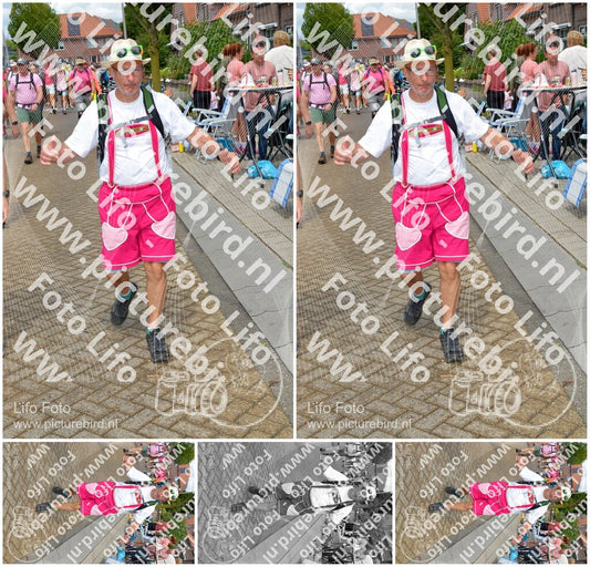 Evenement foto: Nijmeegse Vierdaagse 932