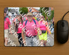 Evenement foto: Nijmeegse Vierdaagse 932