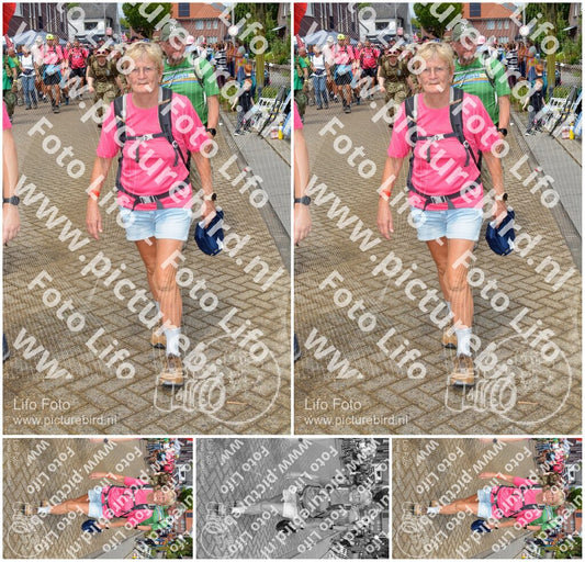 Evenement foto: Nijmeegse Vierdaagse 932