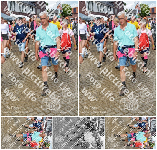 Evenement foto: Nijmeegse Vierdaagse 932