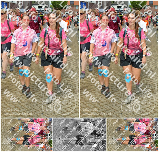 Evenement foto: Nijmeegse Vierdaagse 932