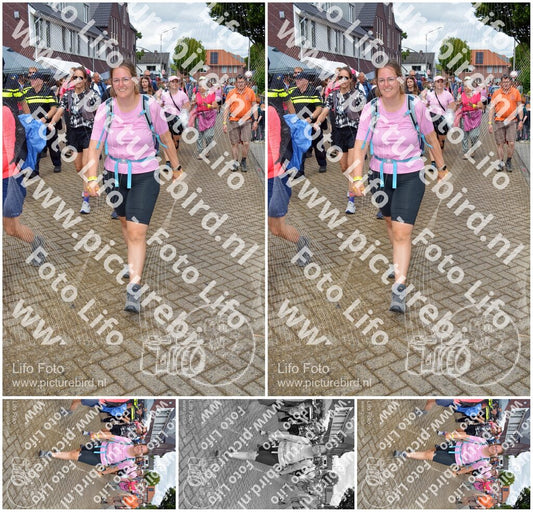 Evenement foto: Nijmeegse Vierdaagse 932