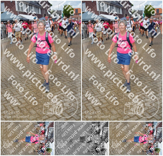 Evenement foto: Nijmeegse Vierdaagse 932