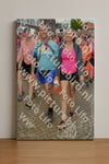 Evenement foto: Nijmeegse Vierdaagse 932