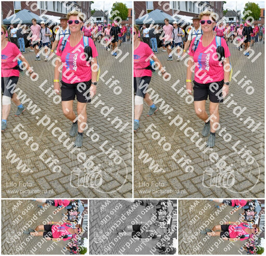 Evenement foto: Nijmeegse Vierdaagse 932