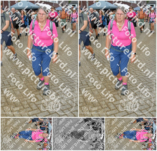 Evenement foto: Nijmeegse Vierdaagse 932