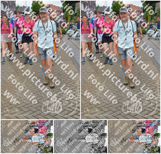 Evenement foto: Nijmeegse Vierdaagse 932