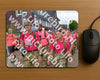 Evenement foto: Nijmeegse Vierdaagse 932