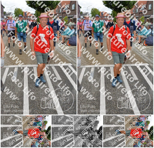 Evenement foto: Nijmeegse Vierdaagse 932